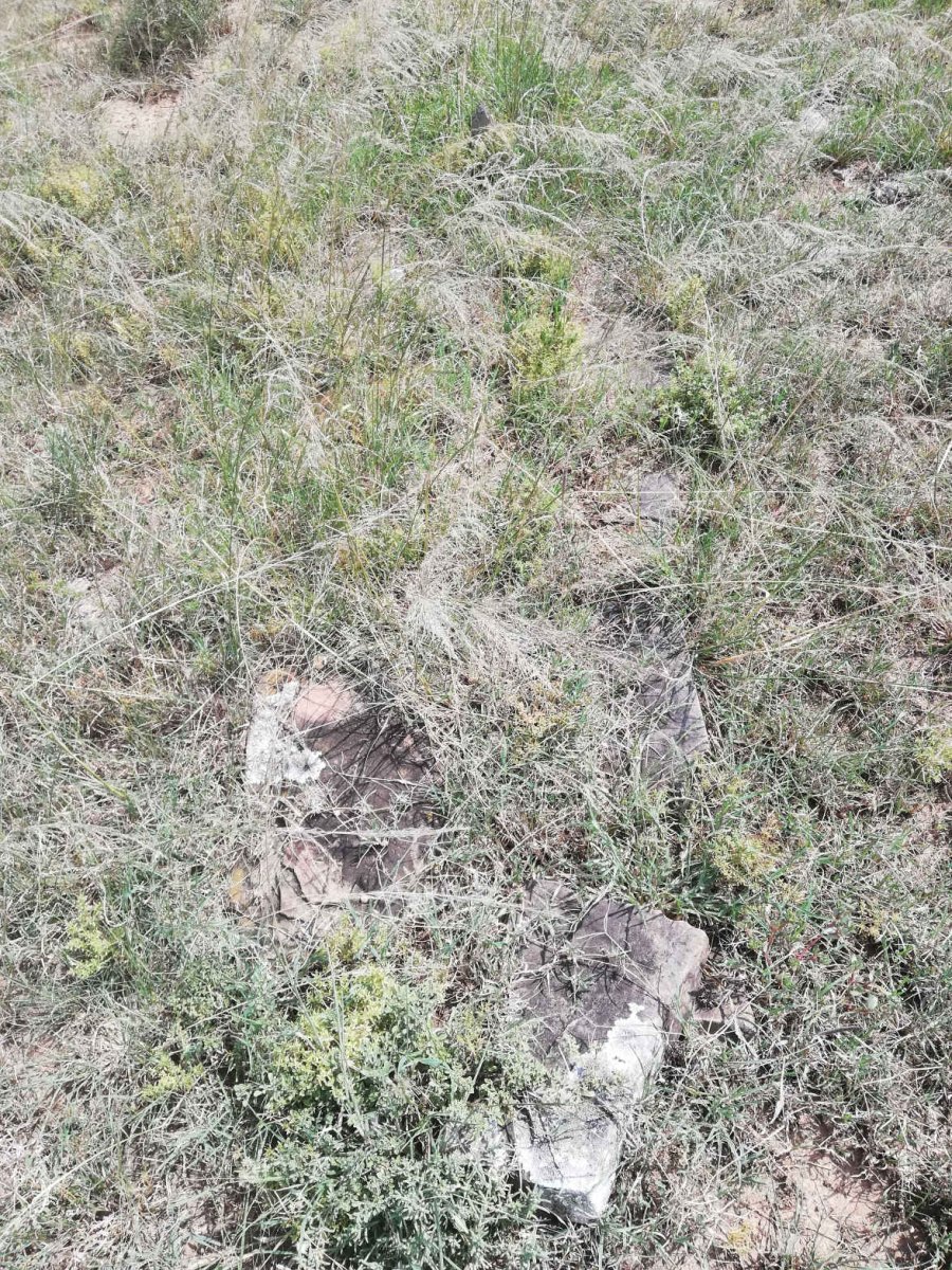 ?