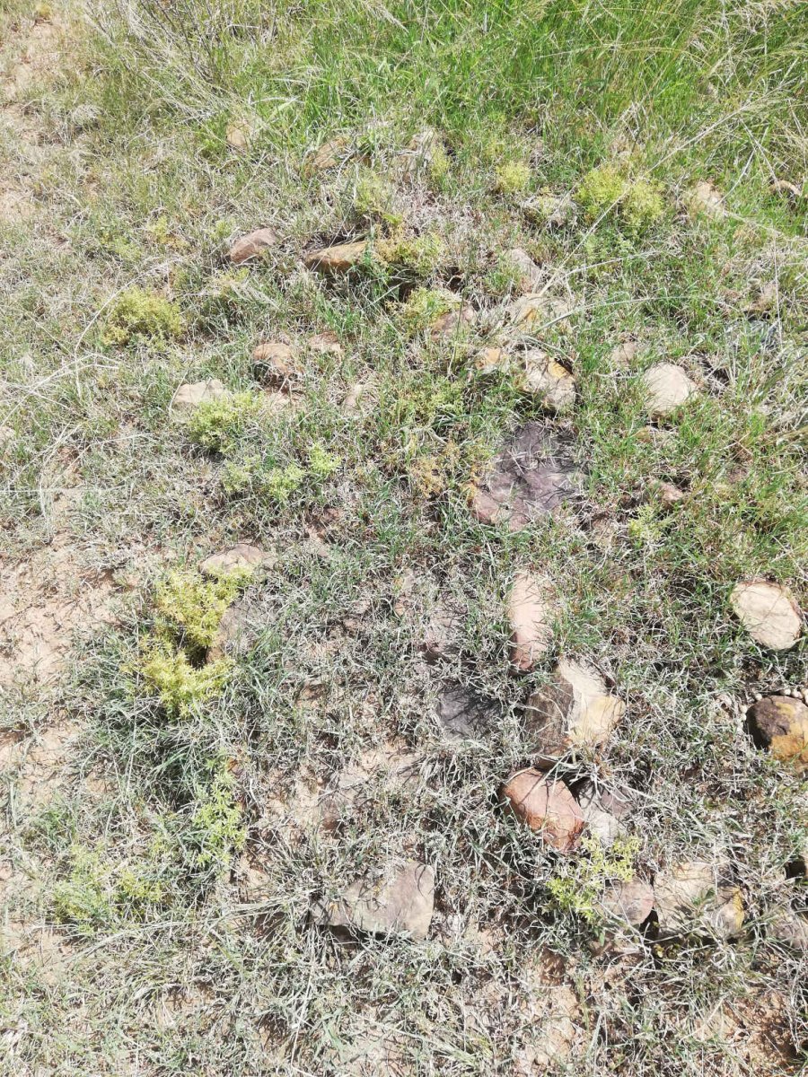 ?