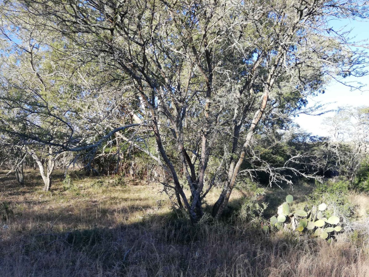 1. Overview