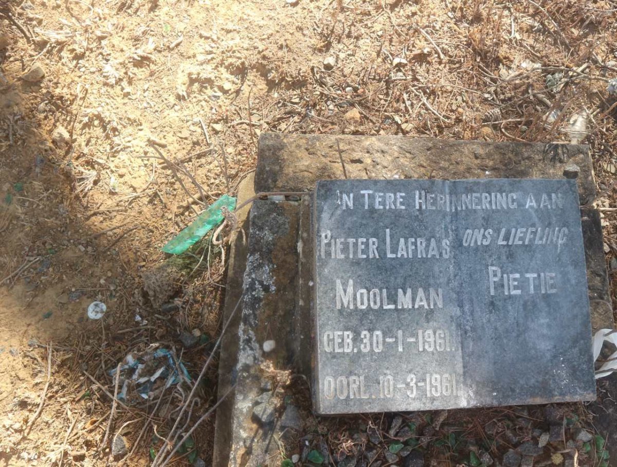MOOLMAN Pieter Lafras 1961-1961