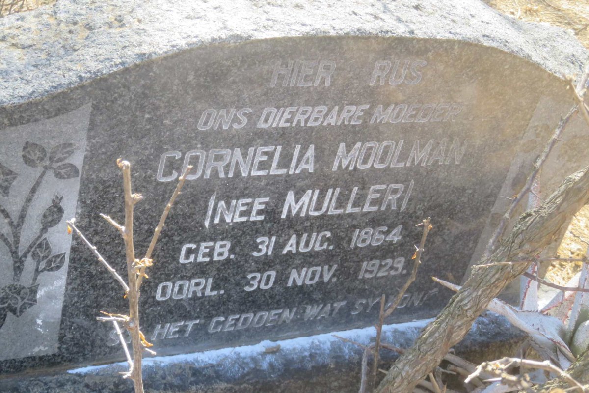 MOOLMAN Cornelia nee MULLER 1864-1929