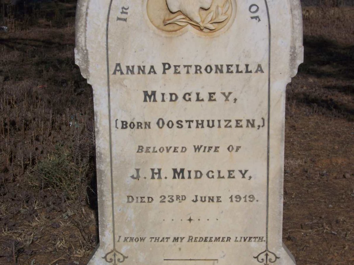 MIDGLEY Anna Petronella nee OOSTHUIZEN -1919