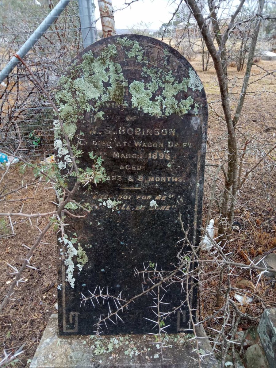 ROBINSON W.S. -1896
