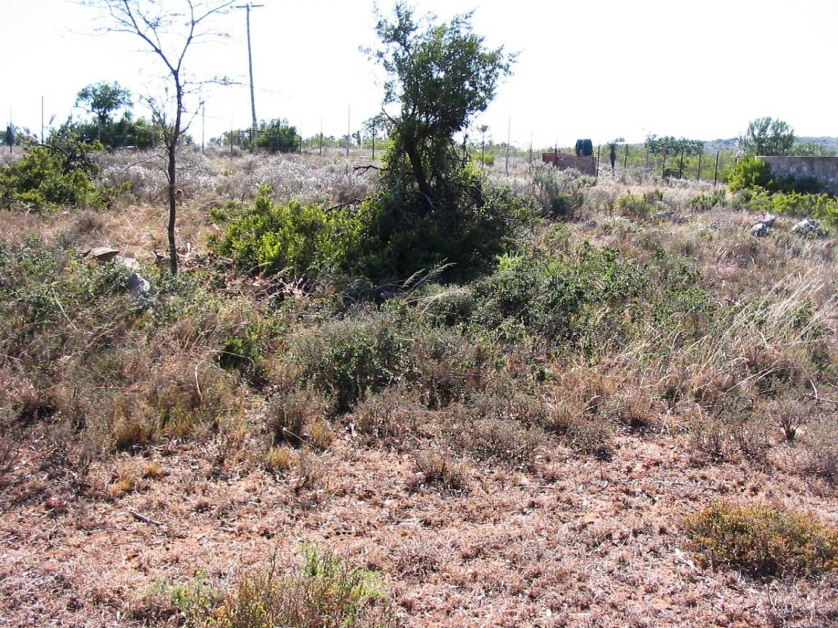 1. Overview