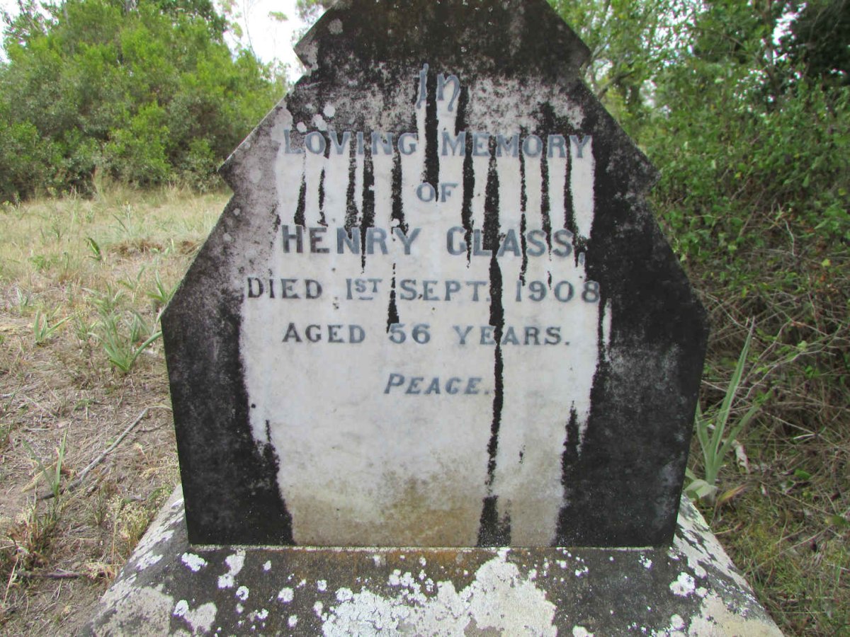 GLASS Henry -1908