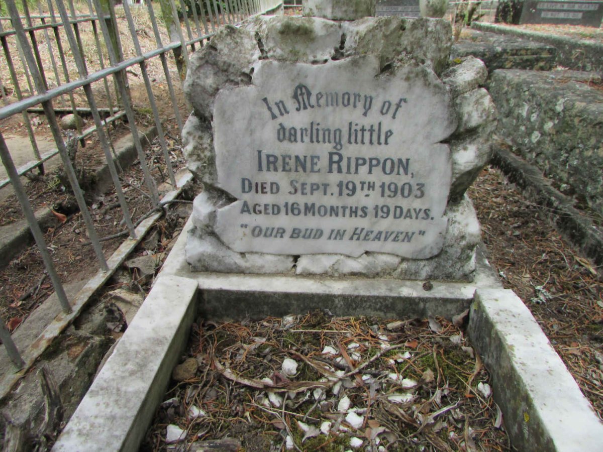 RIPPON Irene -1903