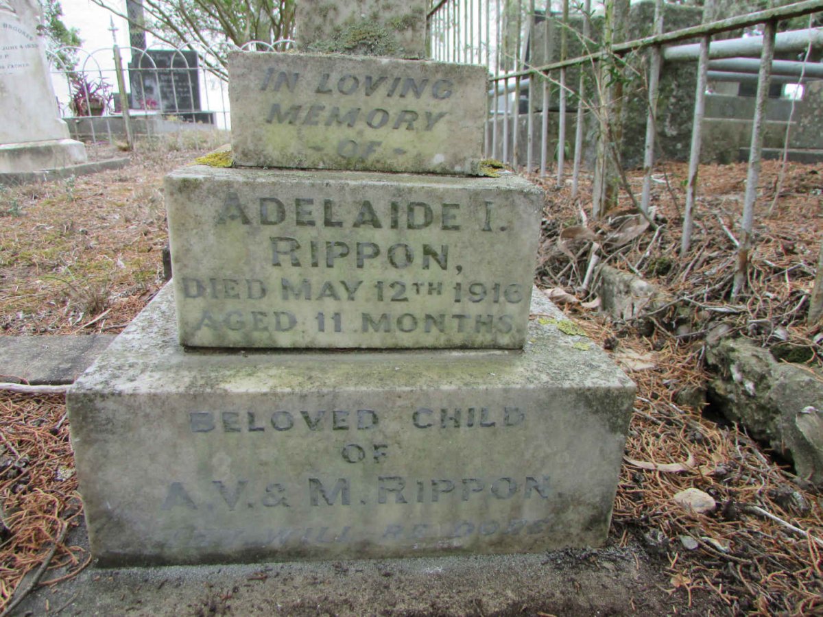 RIPPON Adelaide I. -1916