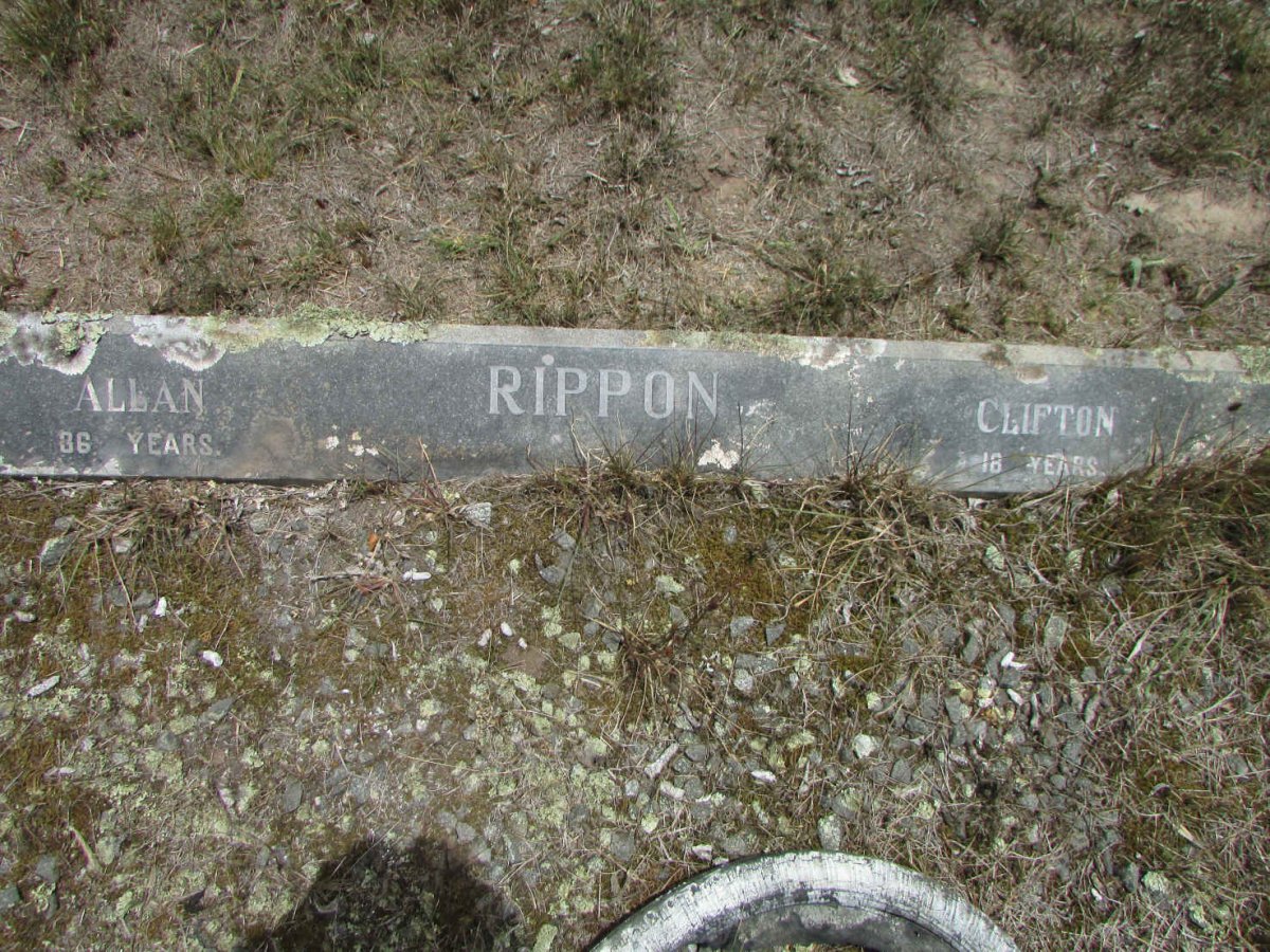 RIPPON Allan :: RIPPON Clifton