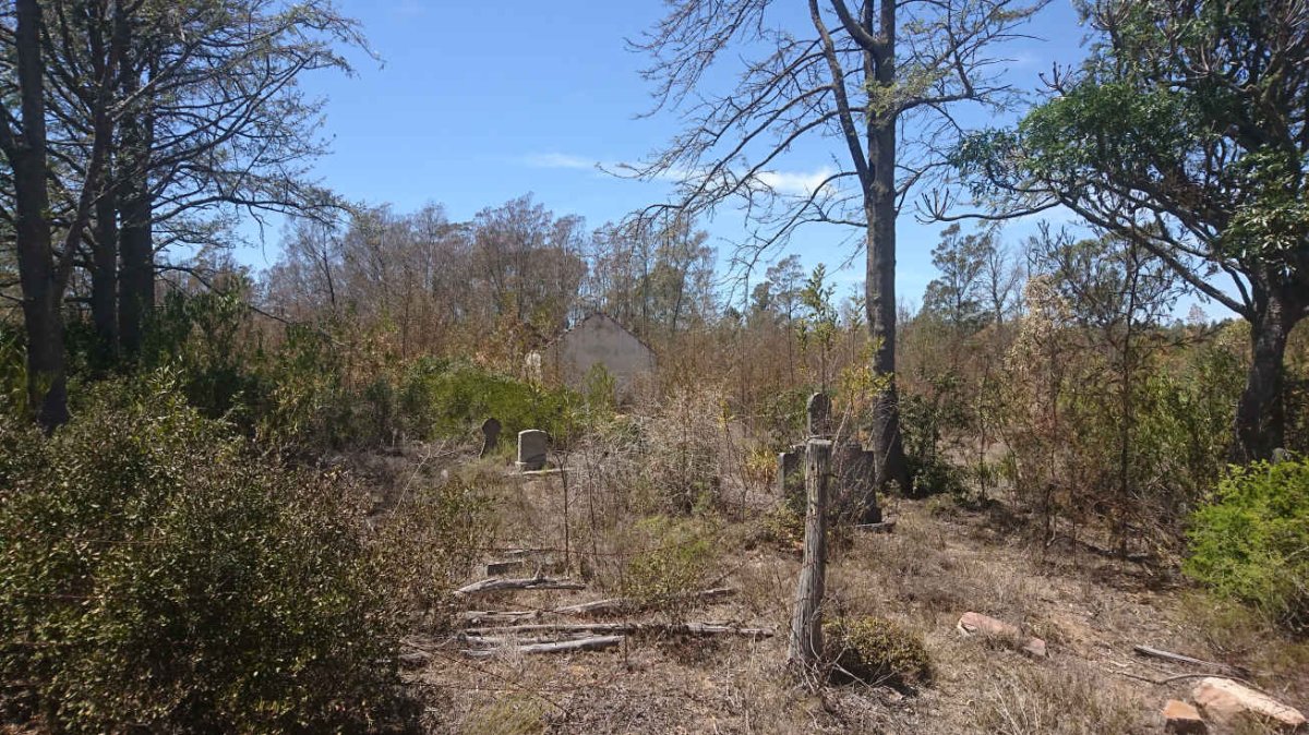4. Overview