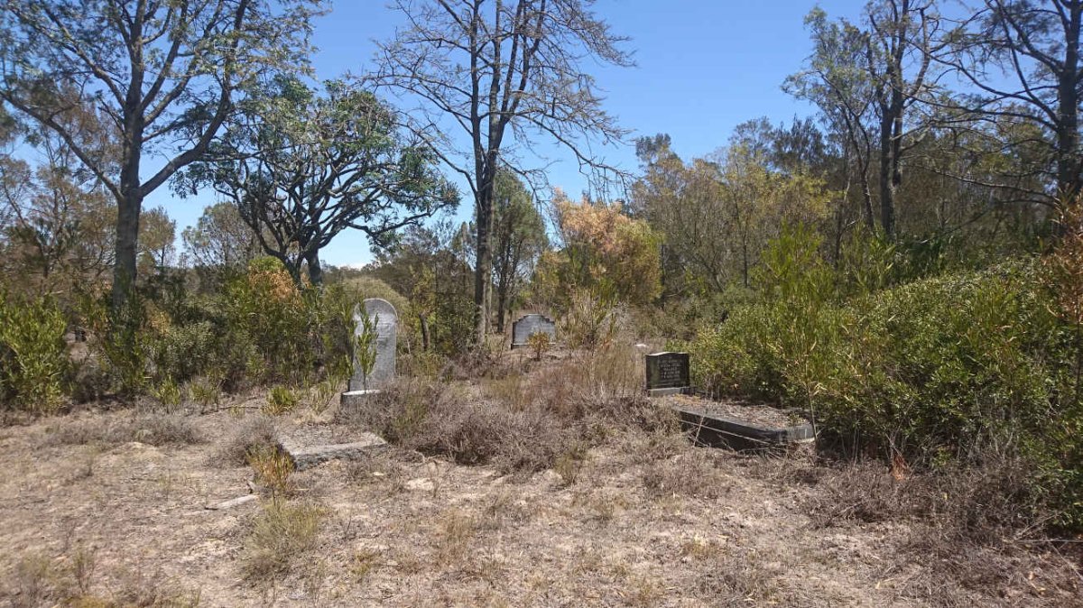 3. Overview
