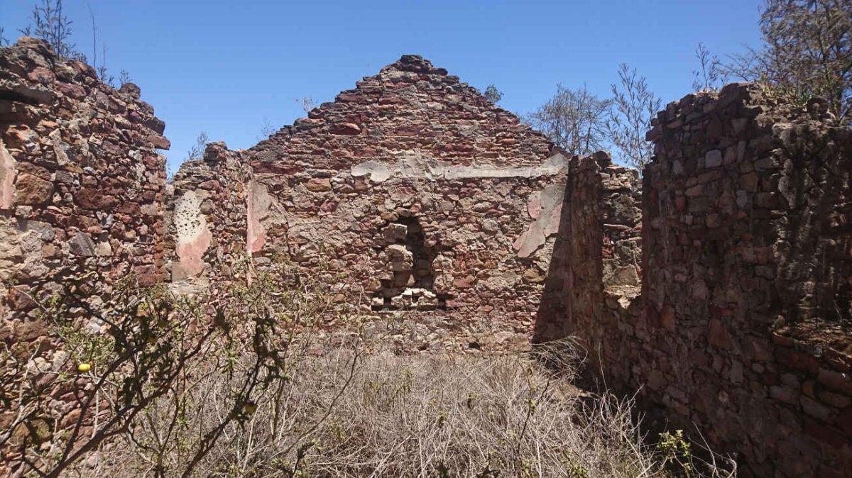7. Overview