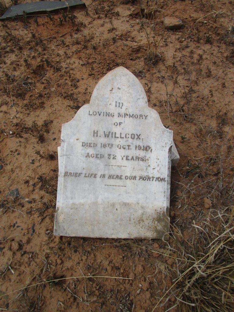 WILLCOX H. -1910