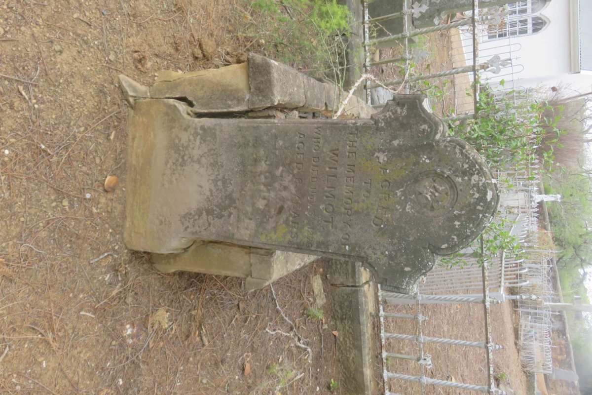 ? Wilmot - 1876