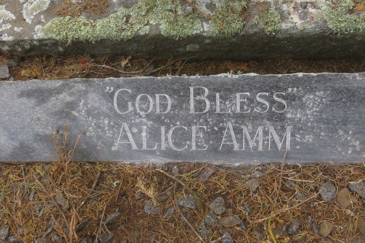 AMM Alice