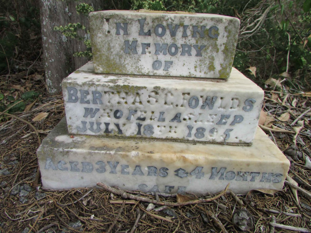 FOWLDS Bertha S.C. -1895