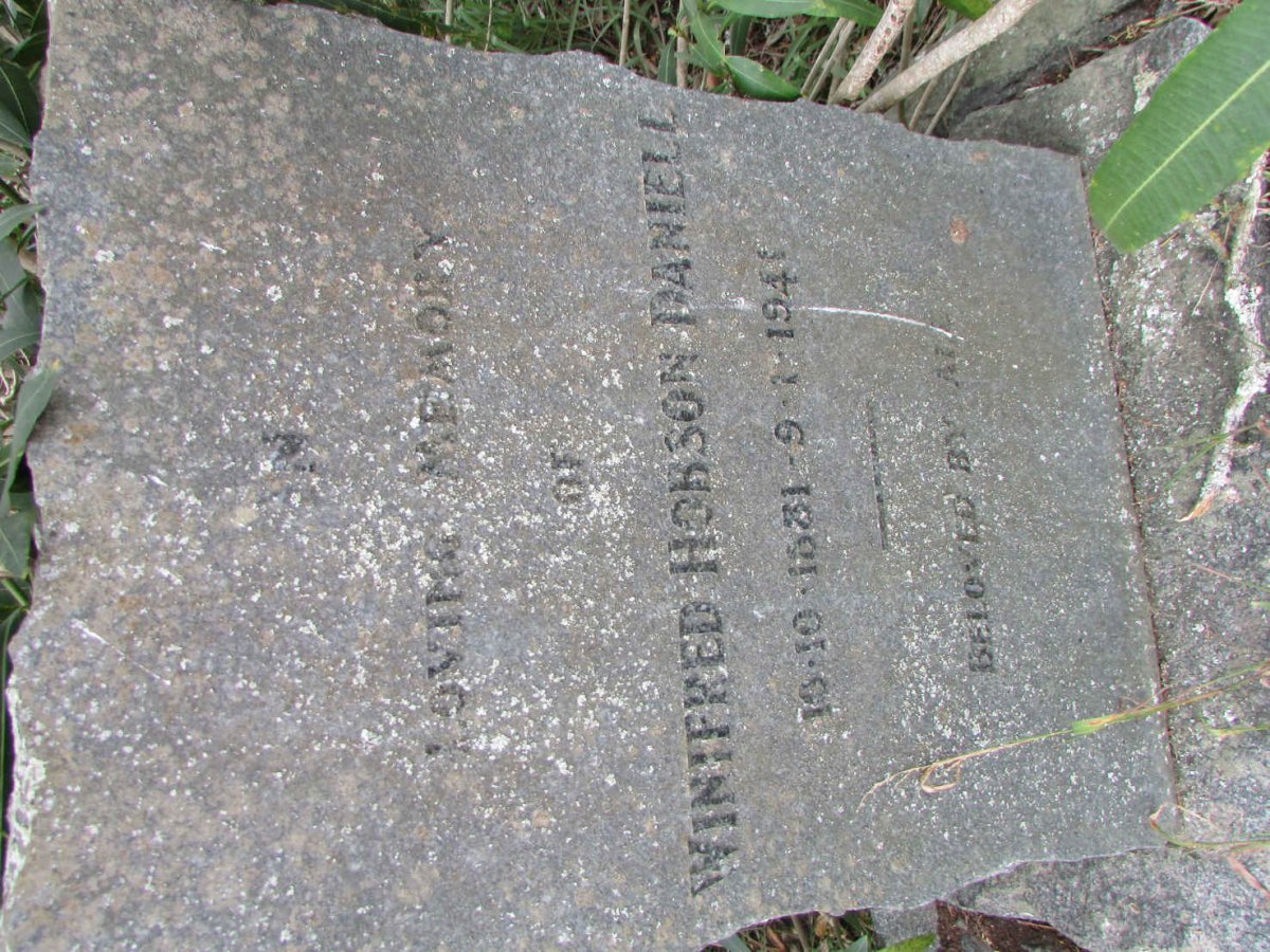 DANIELL Winifred Hobson 1881-1941