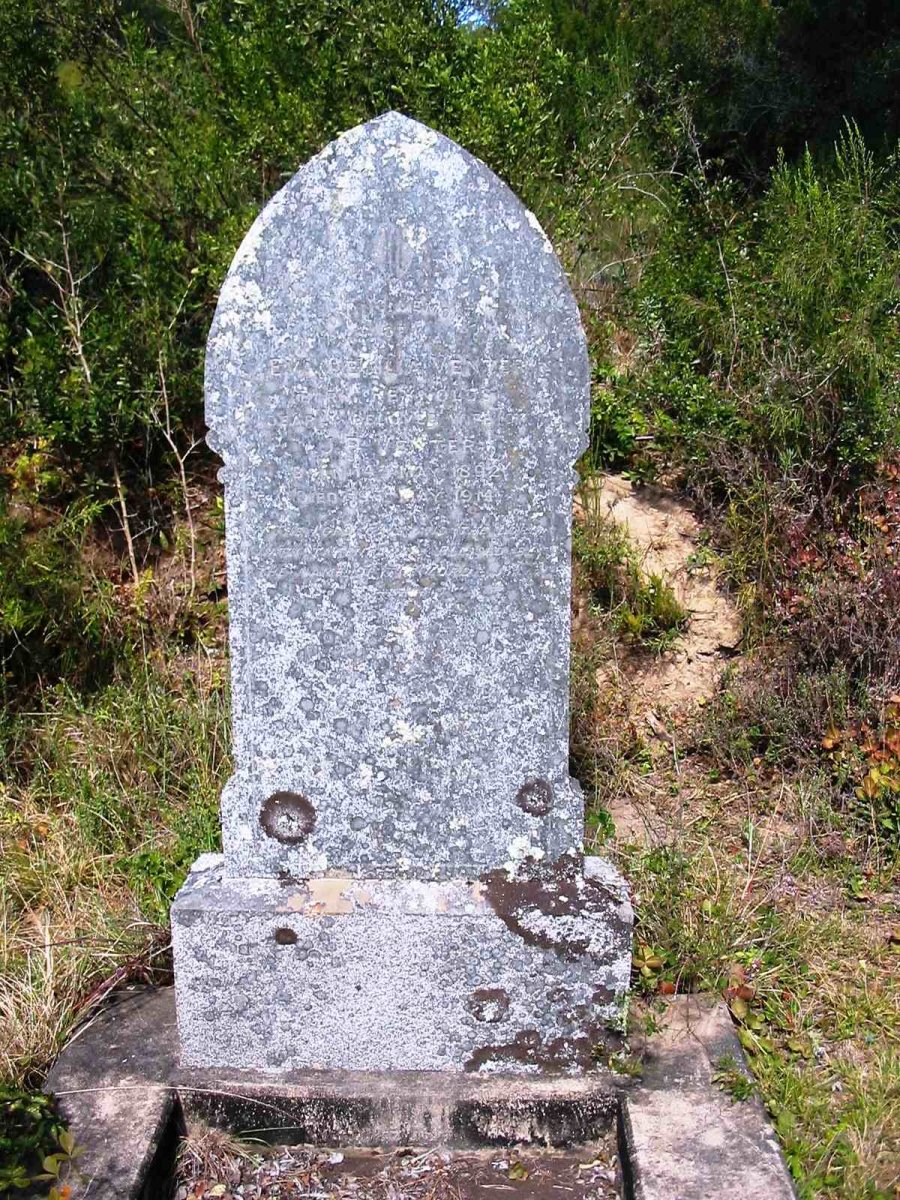 VENTER Eva 1892-1914