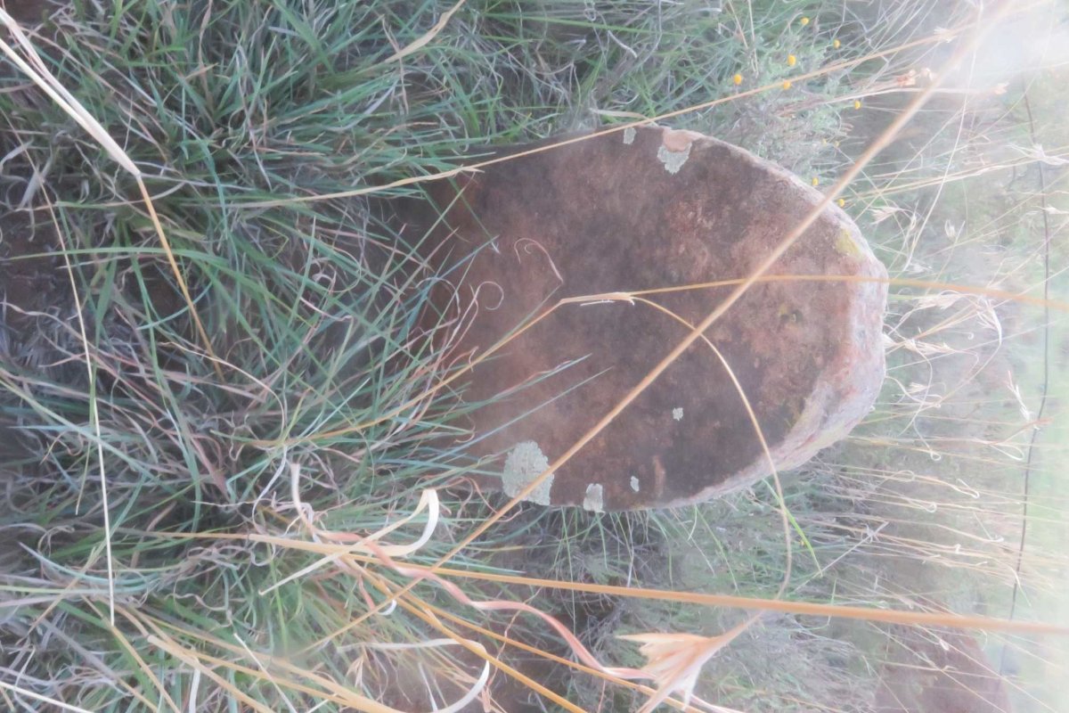 ?