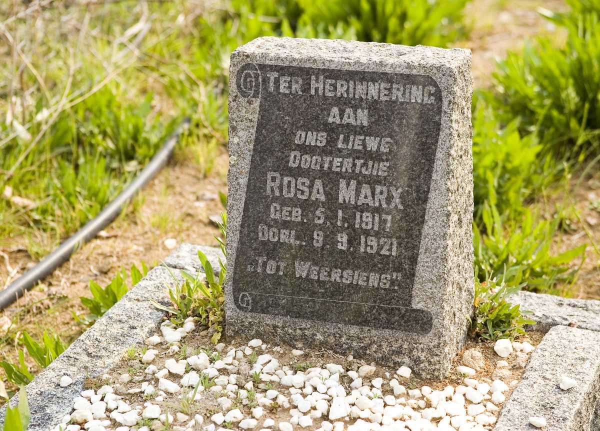 MARX Rosa 1917-1921