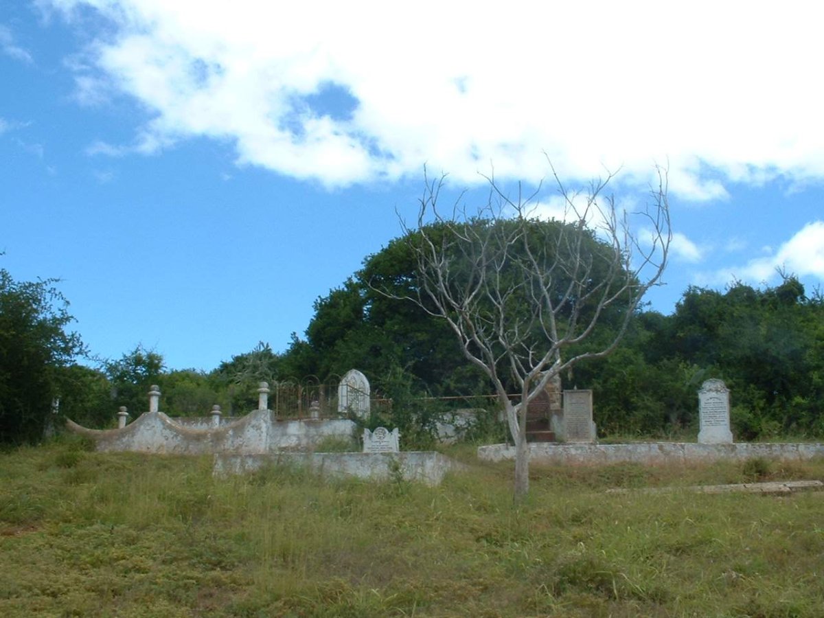1. Overview
