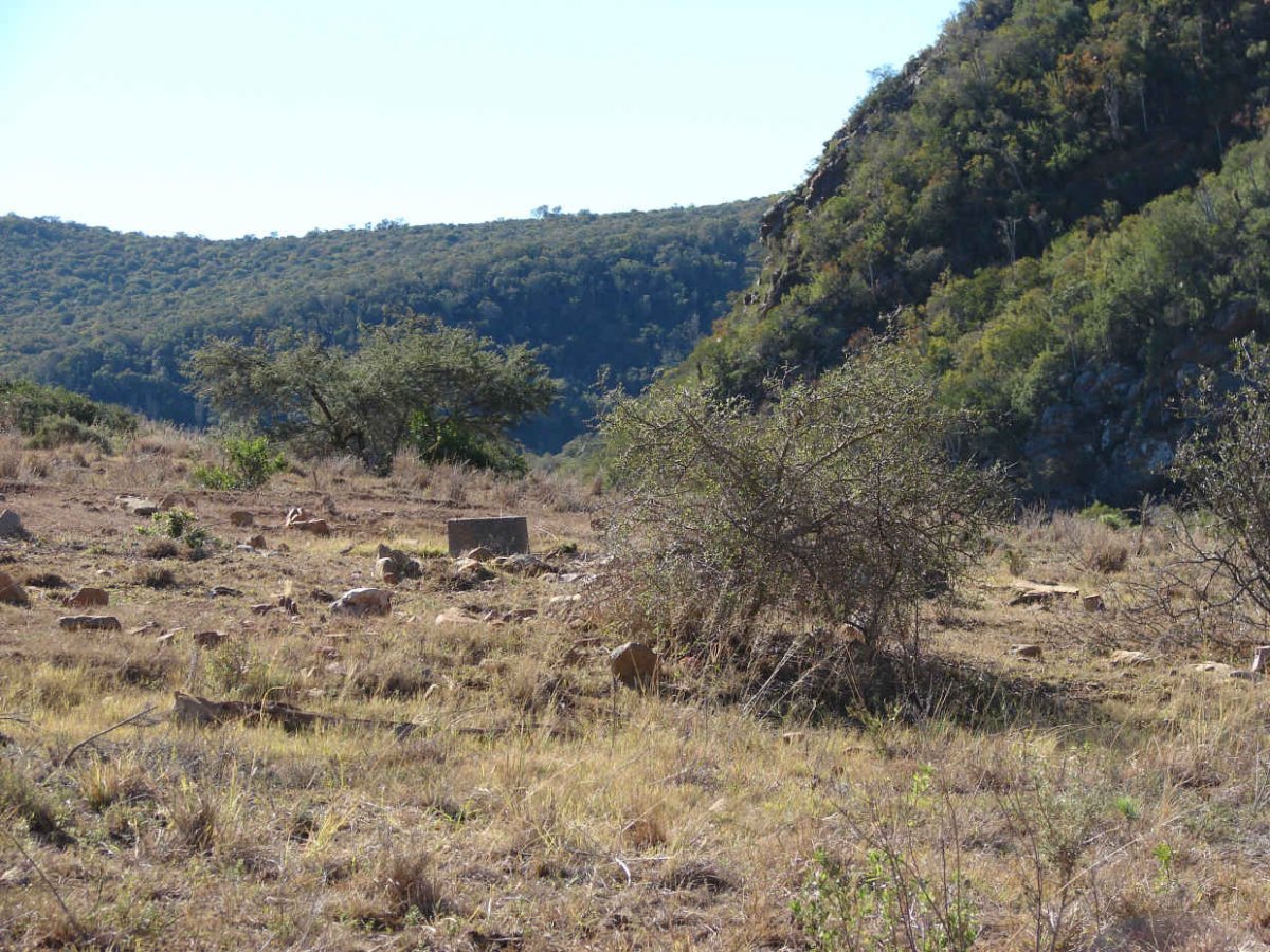 1. Overview