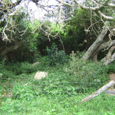 Eastern Cape, ALEXANDRIA district, Lange Hoop 227, Whitney, farm cemetery