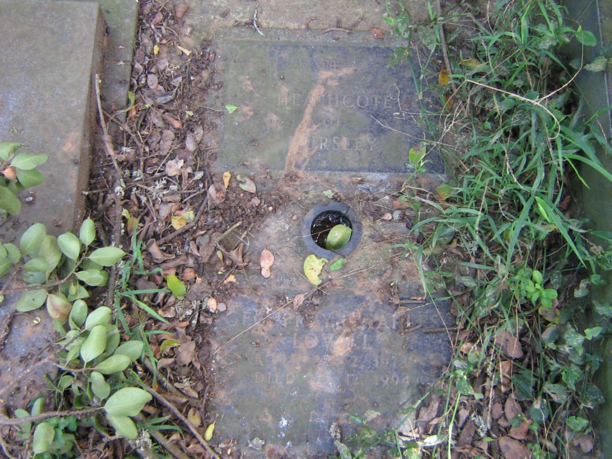 LOVELL Geoffrey Charles 1973-1994