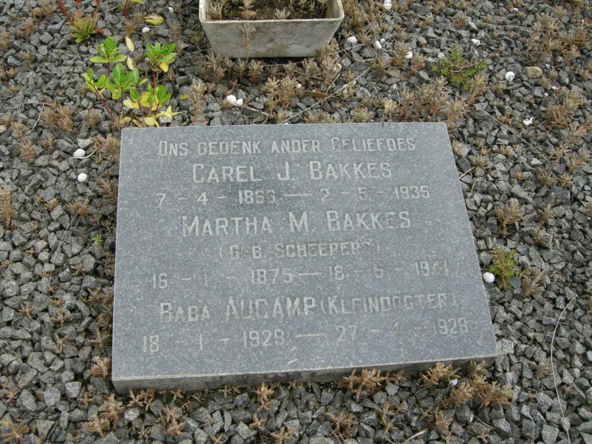 BAKKES Carel J. 1866-1935 &amp; Martha M. SCHEEPERS 1875-1941 :: AUCAMP Baba 1929-1929