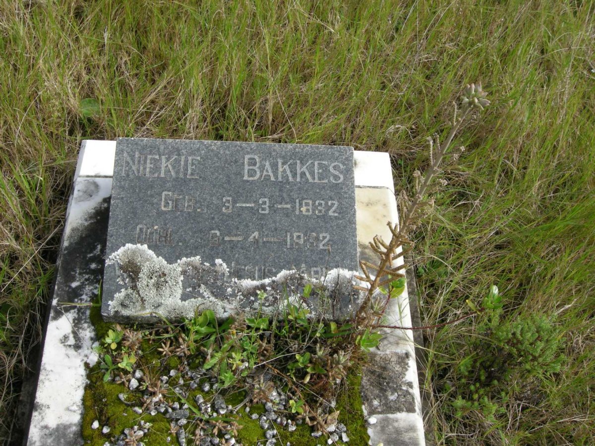 BAKKES Niekie 1932-1932