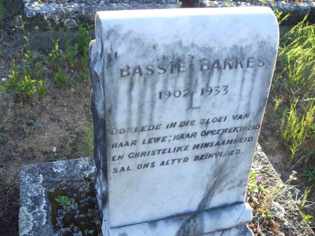 BAKKES Bassie 1902-1933