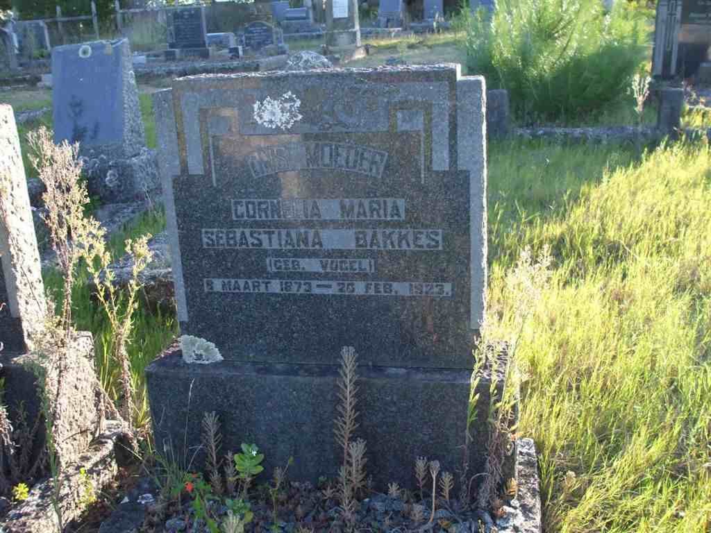 BAKKES Cornelia Maria Sabastina nee VOGEL 1873-1923