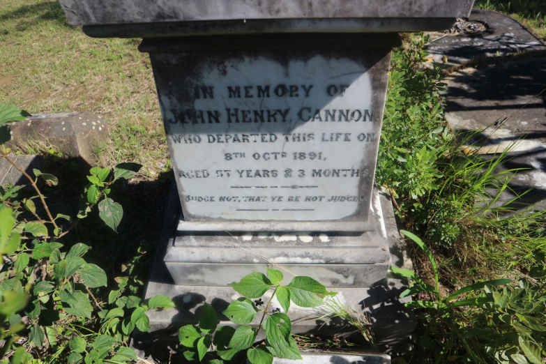 CANNON John Henry -1891