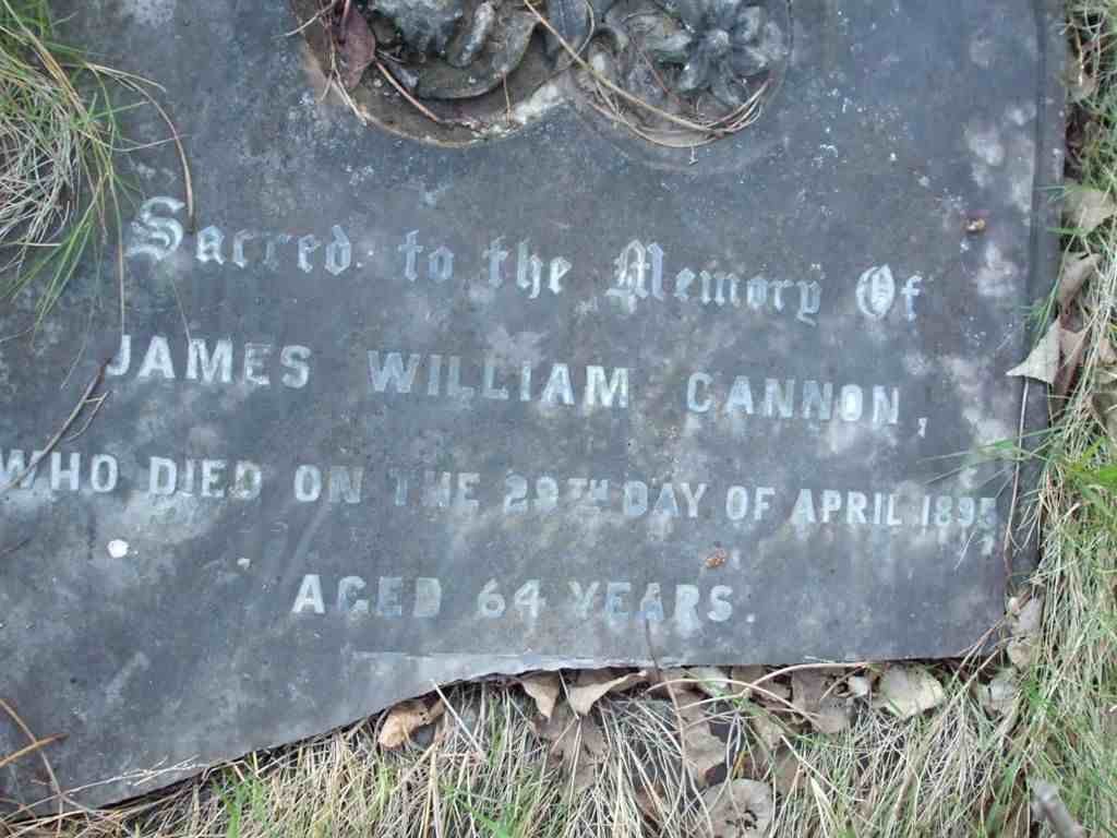 CANNON James William -1895