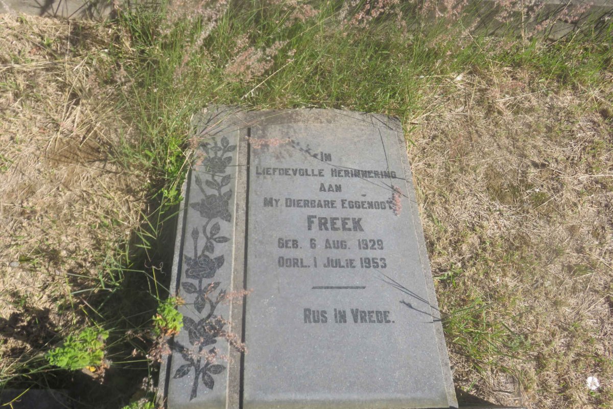 ELS D.F. 1929-1953