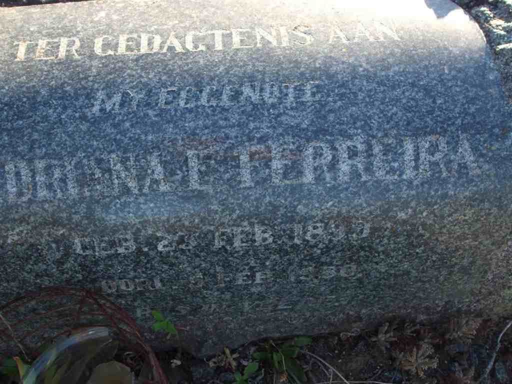 FERREIRA Hendrina L.1899-1939