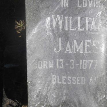 LOOCK William Philip James 1877-1954