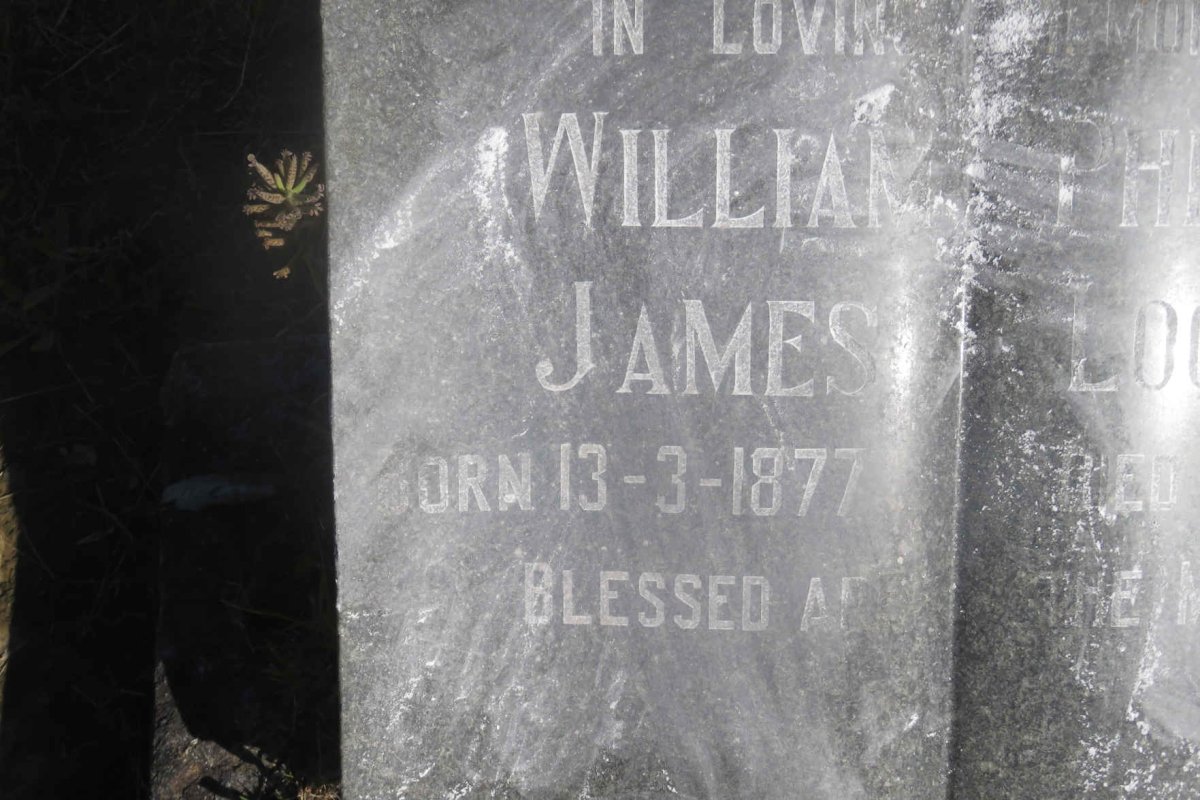 LOOCK William Philip James 1877-1954