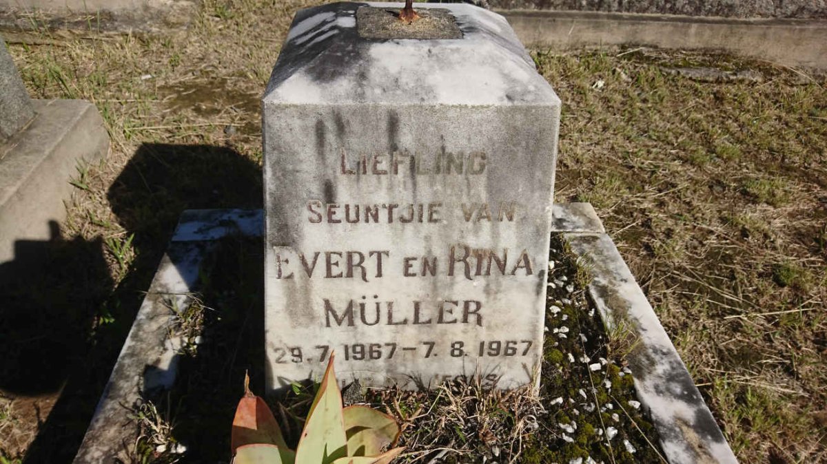 MÜLLER 1967-1967