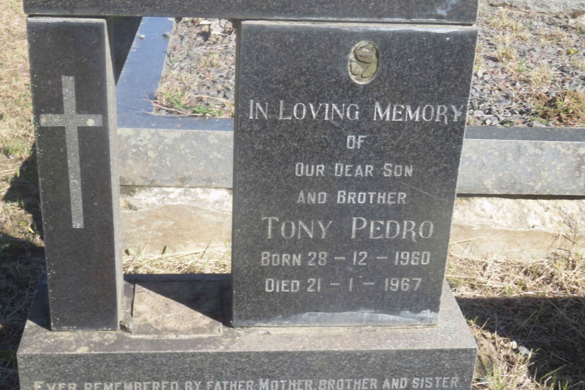 PEDRO Tony 1960-1967