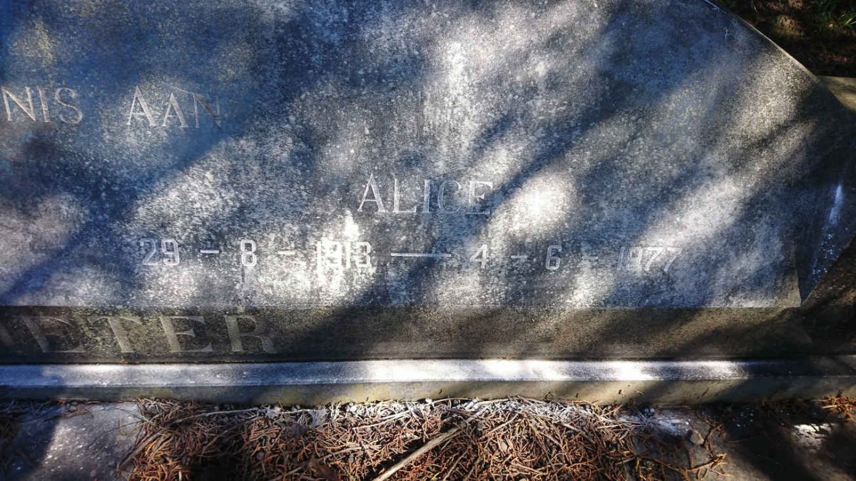POTGIETER Boet 1908-1992 &amp; Alice 1913-1977