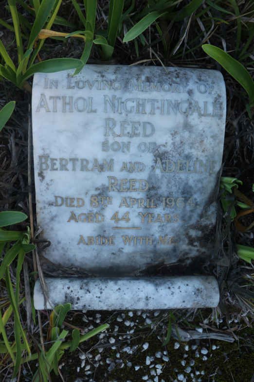 REED Athol Nightingale -1964