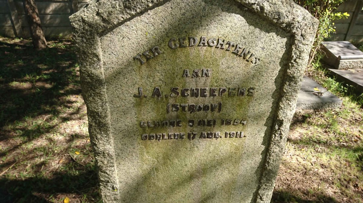 SCHEEPERS J.A. 1854-1911