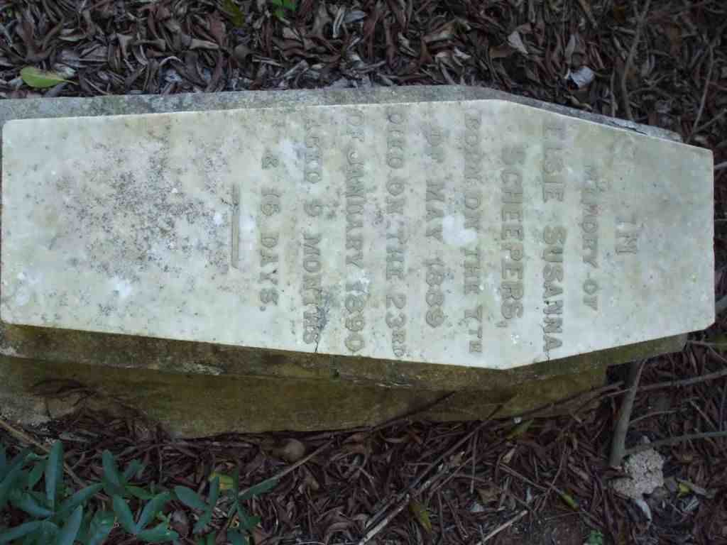 SCHEEPERS Elsie Susanna 1889-1890