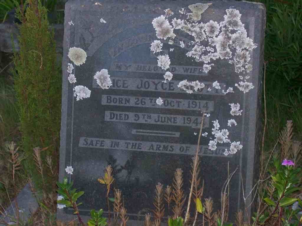 SCOTT Alice Joyce 1914-1944