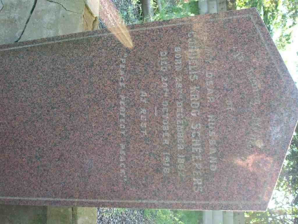 SCHEEPERS Cornelis Krog 1882-1918