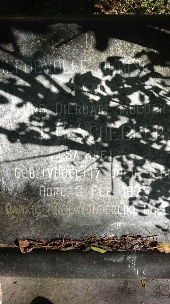 SCHEEPERS S.J.G. nee VOGEL 1890-1975