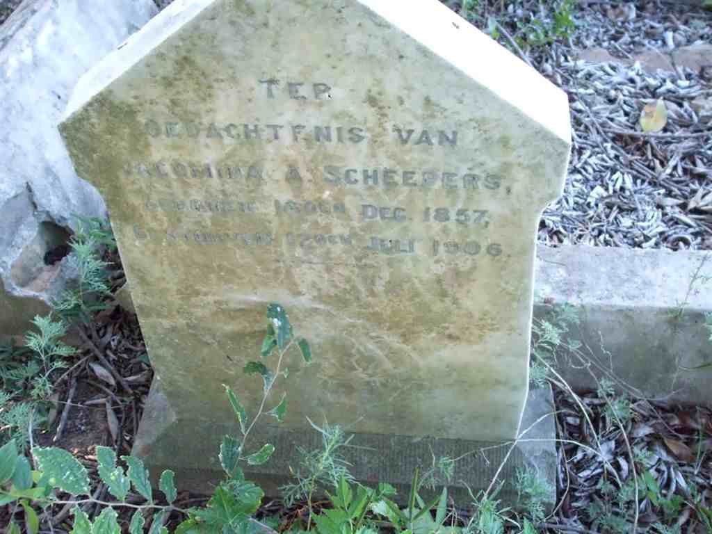 SCHEEPERS Jacomina A. 1857-1906