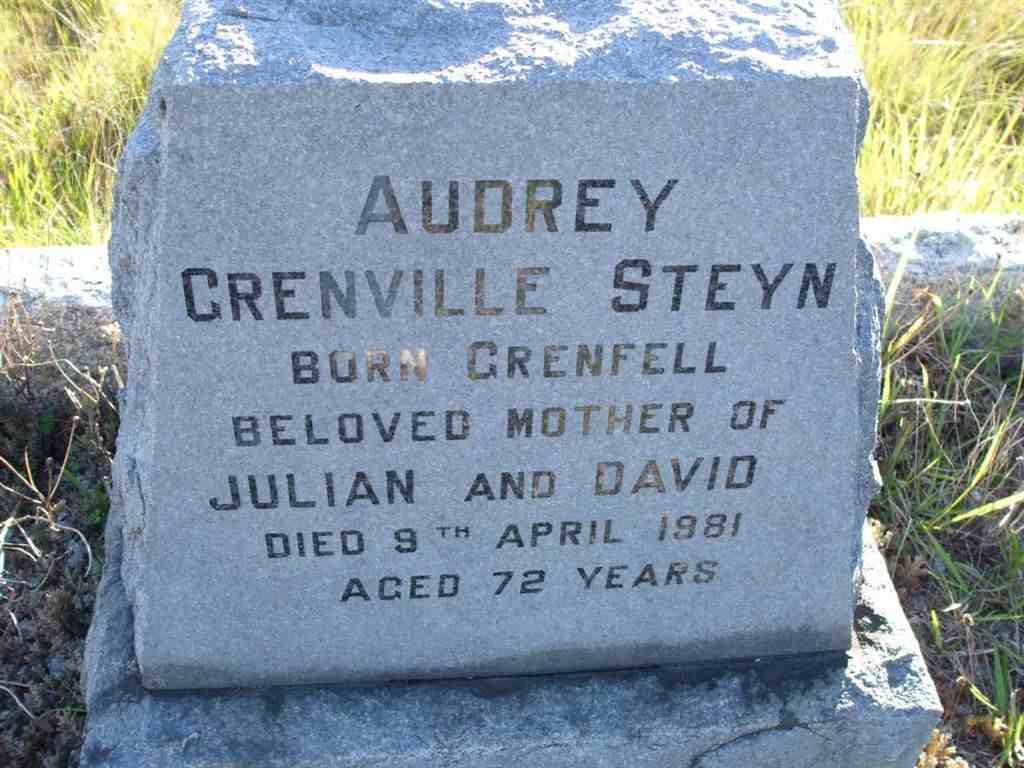 STEYN Audrey nee GRENVILLE -1981