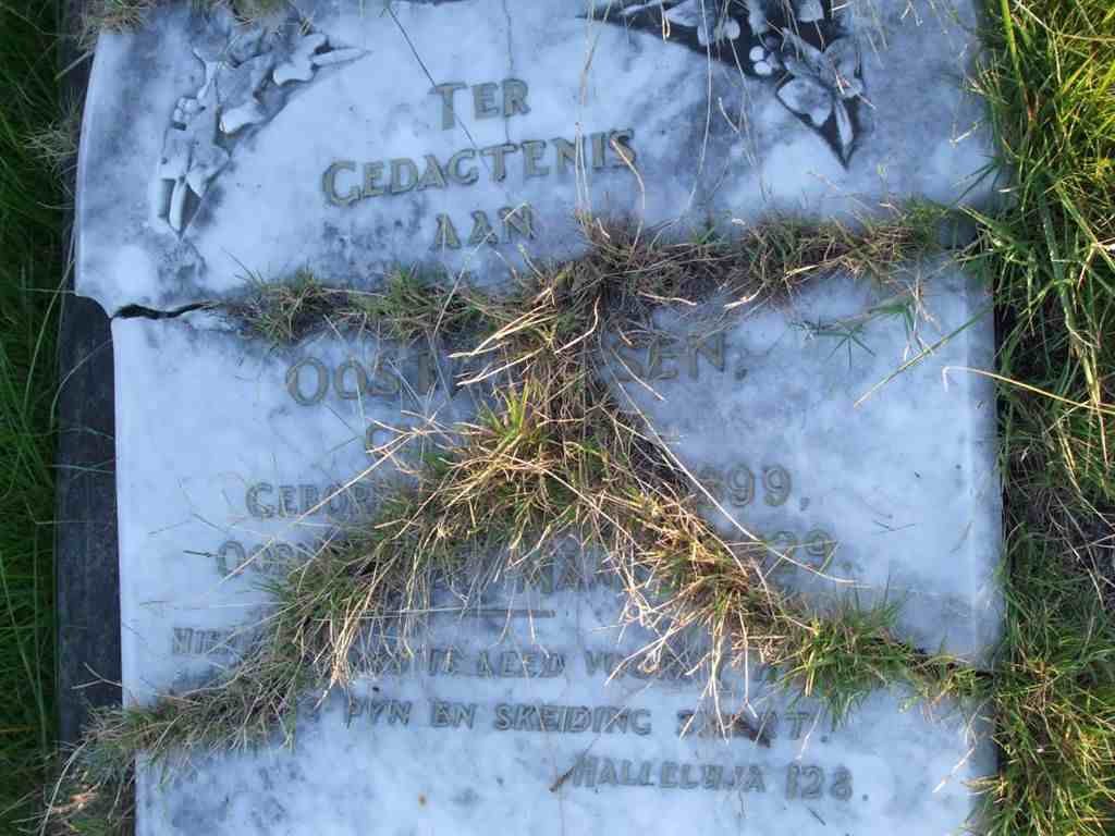 OOSTHUYSEN Johanna Aletta nee MULLER 1899-1929