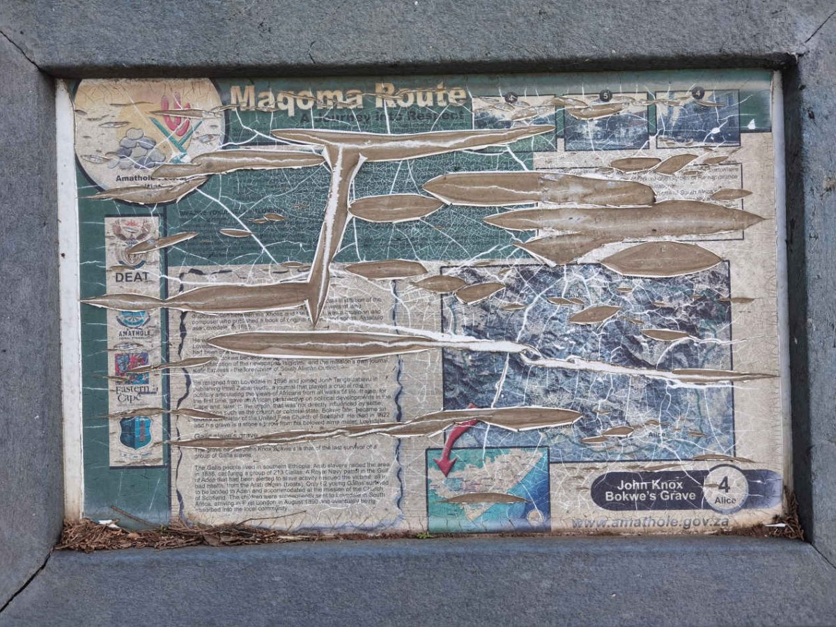 2. Overview